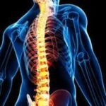 Illustration of a human spine highlighted in orange, showing the skeletal structure within a semi-transparent body.