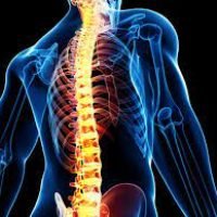 Illustration of a human spine highlighted in orange, showing the skeletal structure within a semi-transparent body.