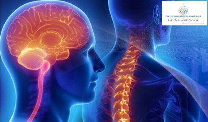 Digital medical illustration depicting a profile view of a human head with brain and spinal cord highlighted in bright colors