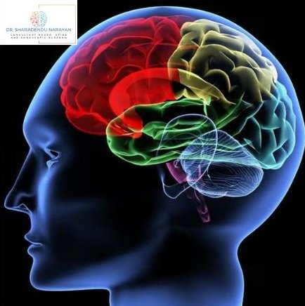 Illustrative image of a human head profile with a brain depicted in vibrant, multi-colored sections, each representing different functional areas.